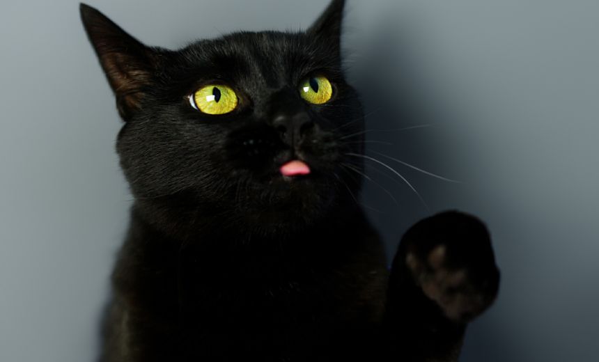 Cybersecurity Professionals Guilty of BlackCat Ransomware