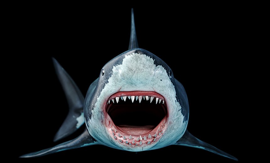 Automated 'Megalodon' Campaign Spreads GitHub Repo Backdoors
