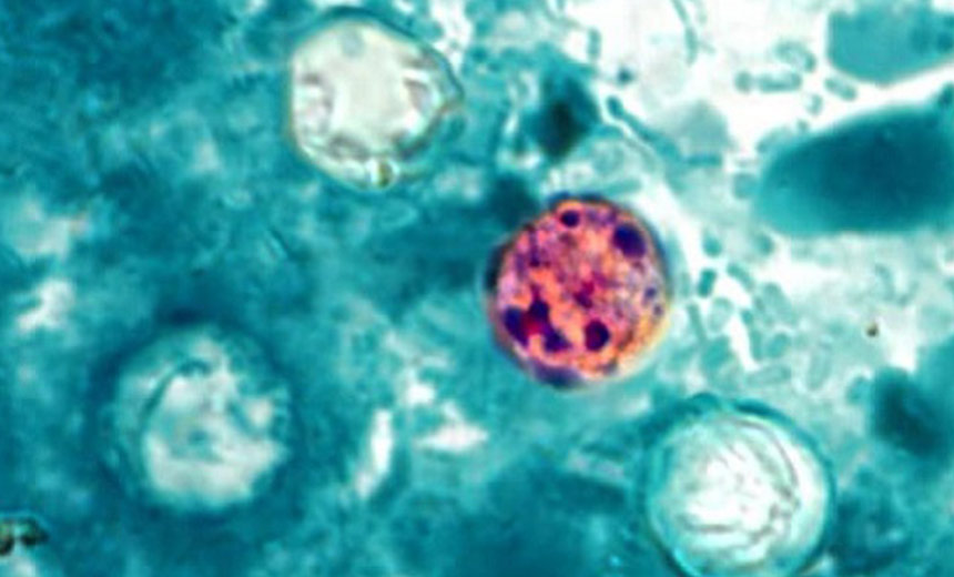 AI Tackles the Cyclospora Outbreak