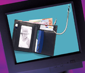 Financial Quashing Why Phishing Works – Lessons for Financial Institutions