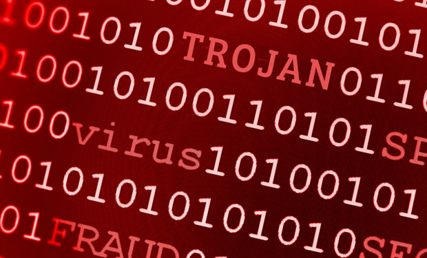 Police Disrupt Banking Malware Botnet - BankInfoSecurity