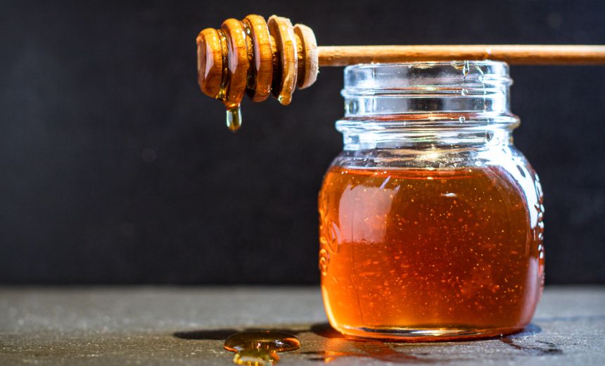 Pro-Russian TwoNet Hacktivists Target Water Utility Honeypot