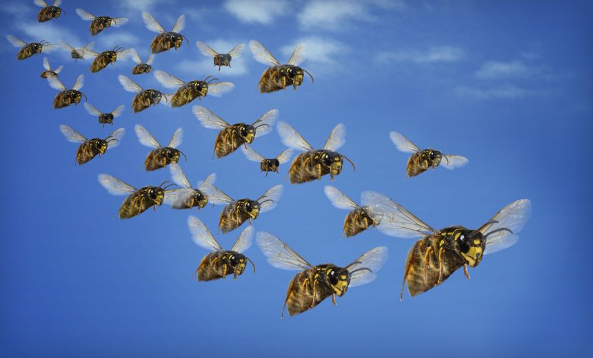 Many More Bugs But Exploits Stay Steady