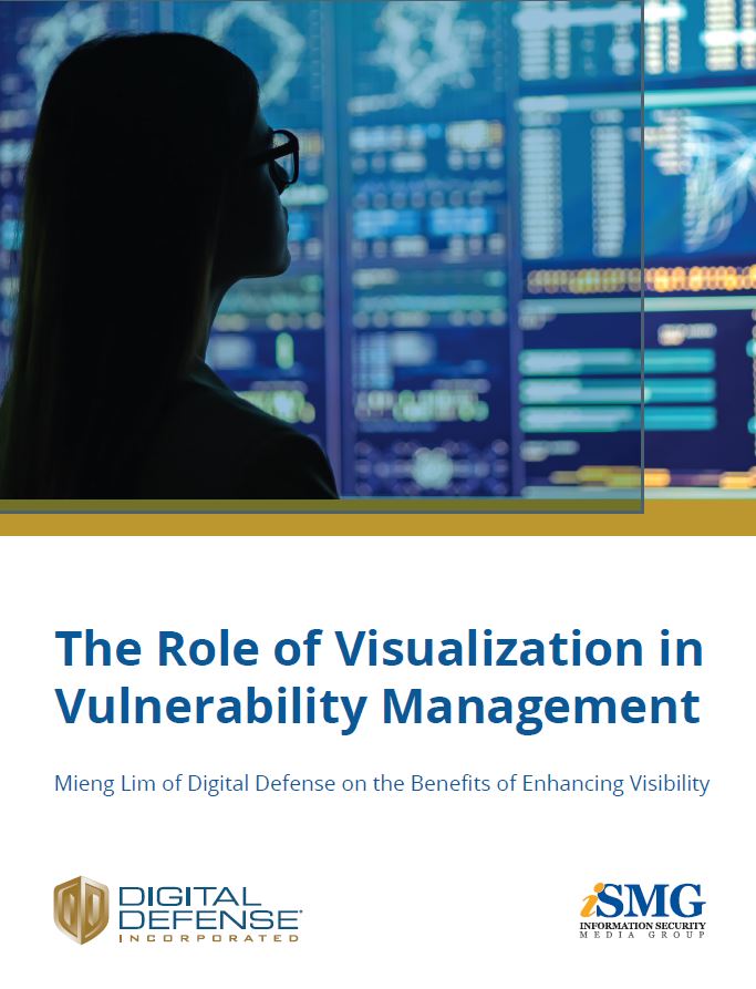 The Role of Visualization in Vulnerability Management