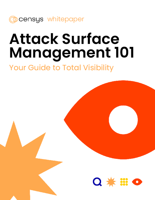 Attack Surface Management 101: Your Guide to Total Visibility