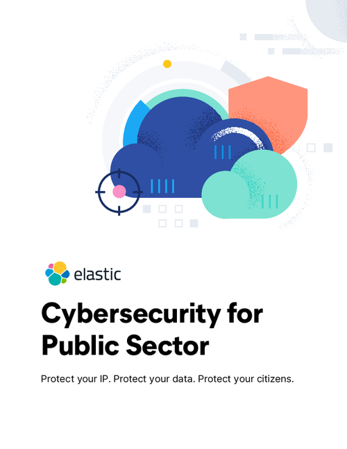 Protecting the Public Interest: Cybersecurity Measures for Government ...