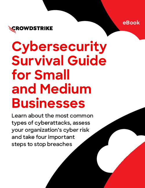 Cybersecurity Survival Guide for Small and Medium Businesses