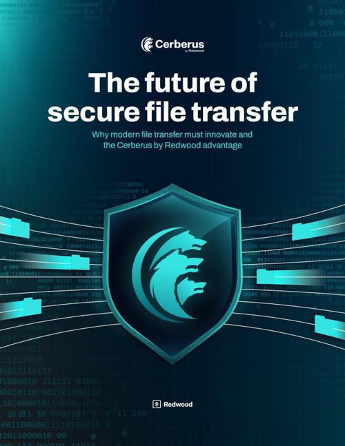 Don’t Just Transfer Files — Future-Proof Your Team