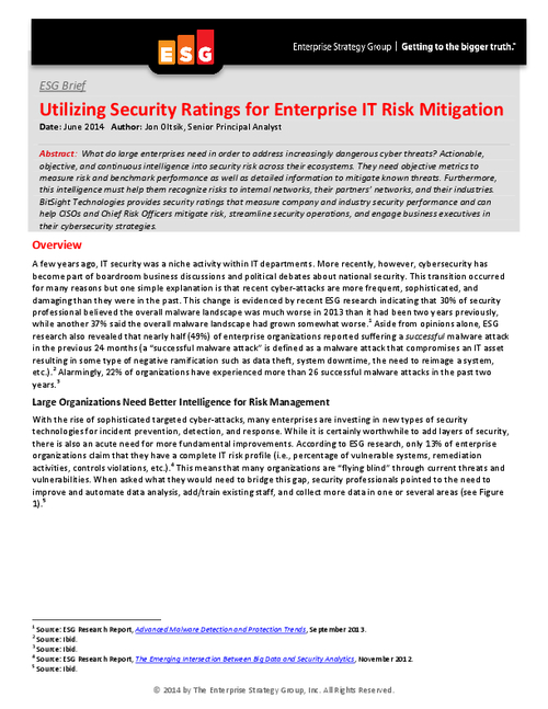 Software Issue Risk Rating Utilizing Security Ratings for Enterprise IT Risk Mitigation